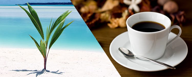 aloha water&COFFEE